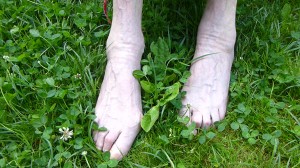 mijn moeders voeten in het gras