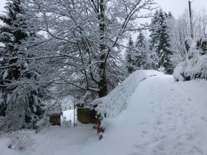 winter 2014/2015 rondom ons huis, Fichtelgebergte